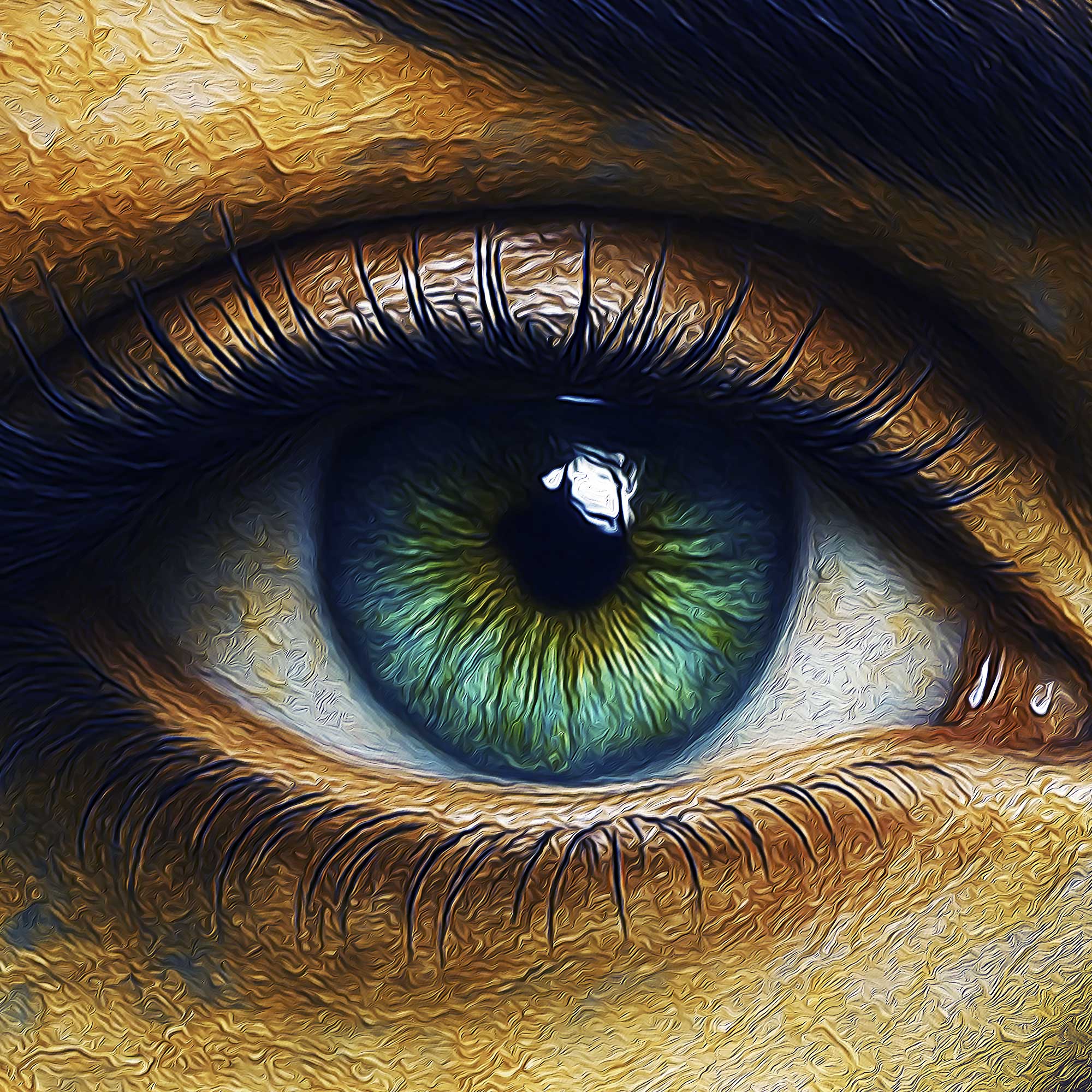 انسانم آرزوست | Persian Wall Art | Persian Art