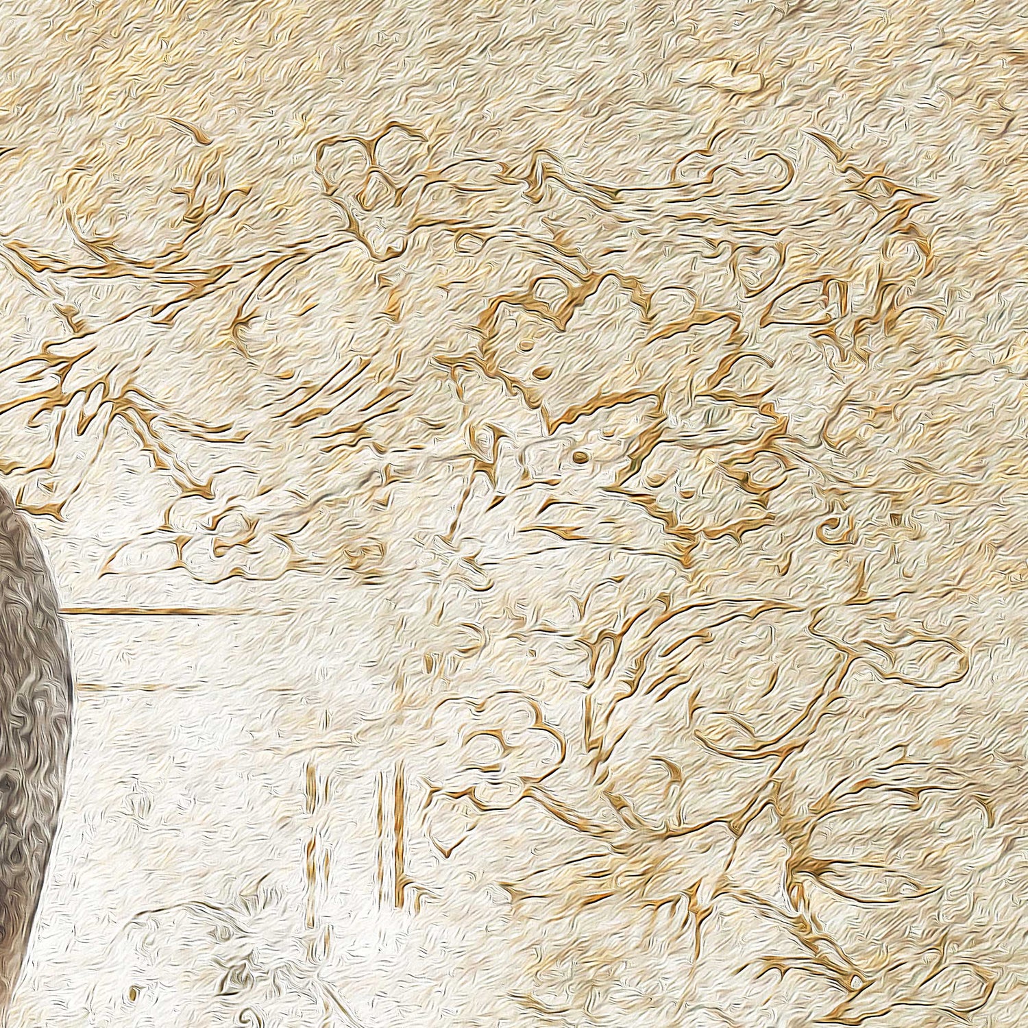 Pahlavi Royal Family | Persian Wall Art