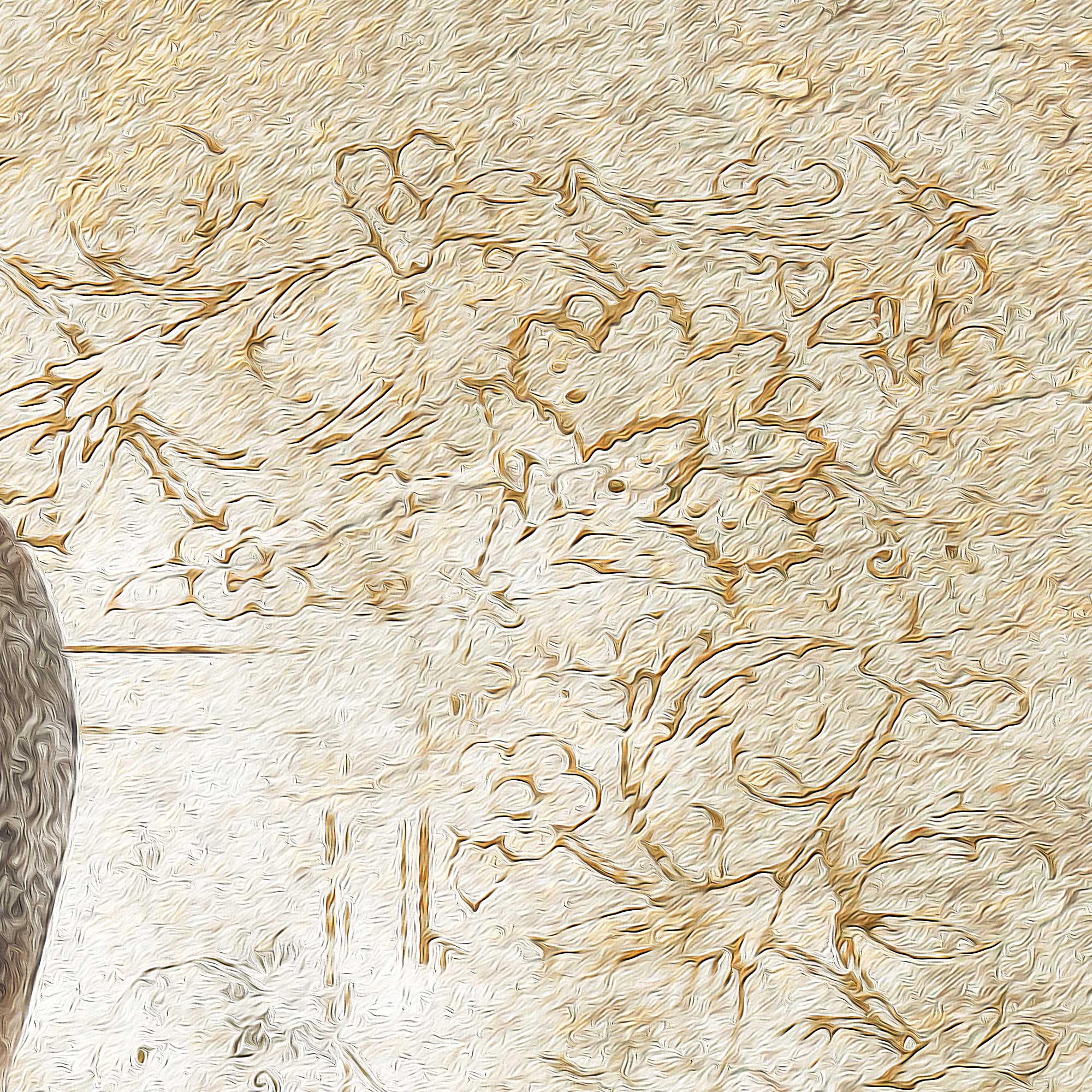 Pahlavi Royal Family | Persian Wall Art