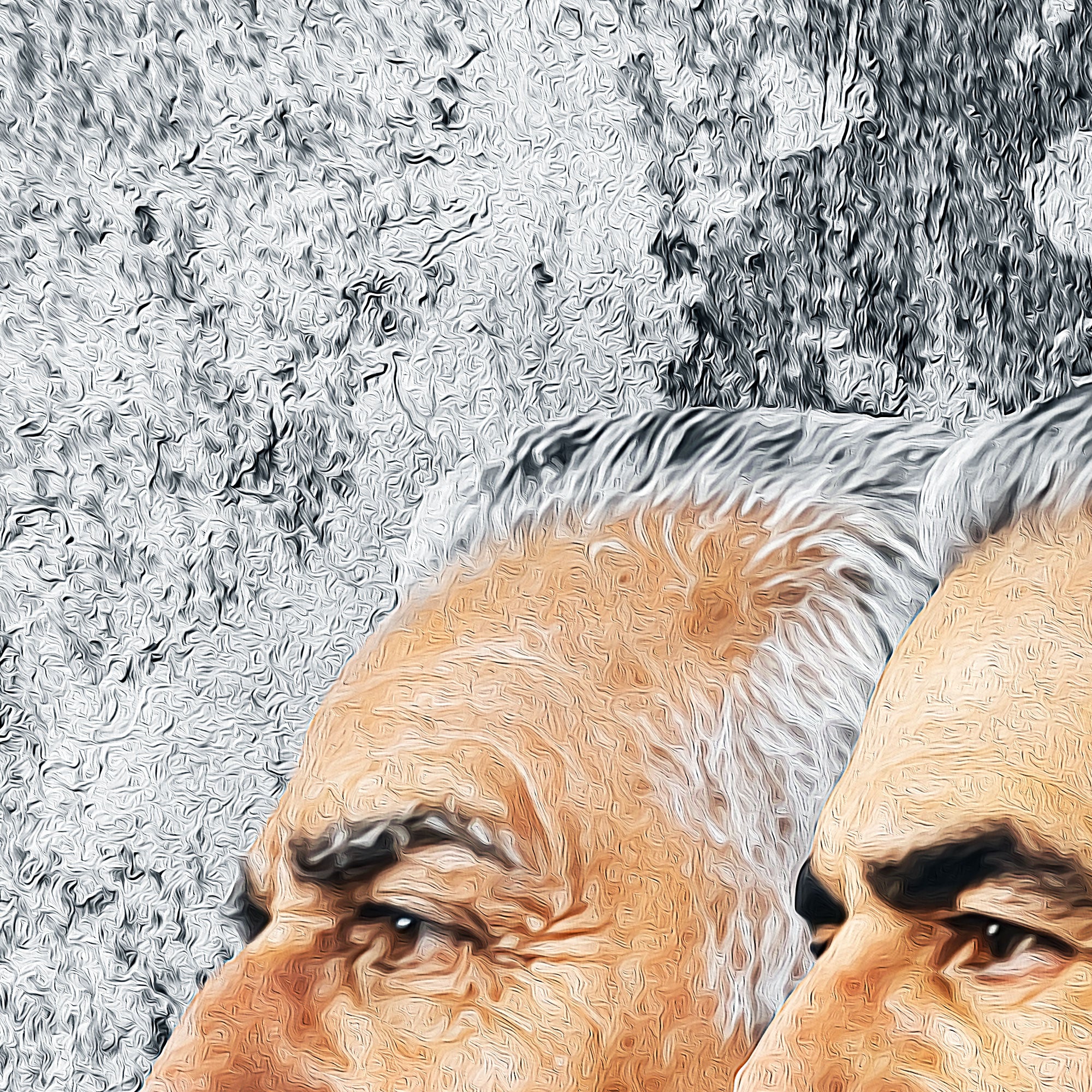 Pahlavi Royal Family | Persian Royal Wall Art