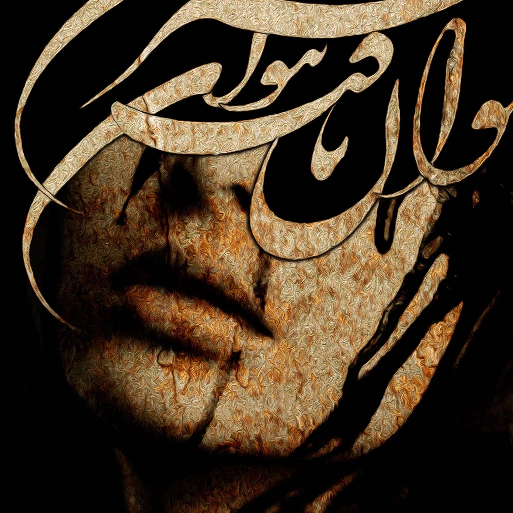 Drink Wine Persian wall art, alternate artwork view 2