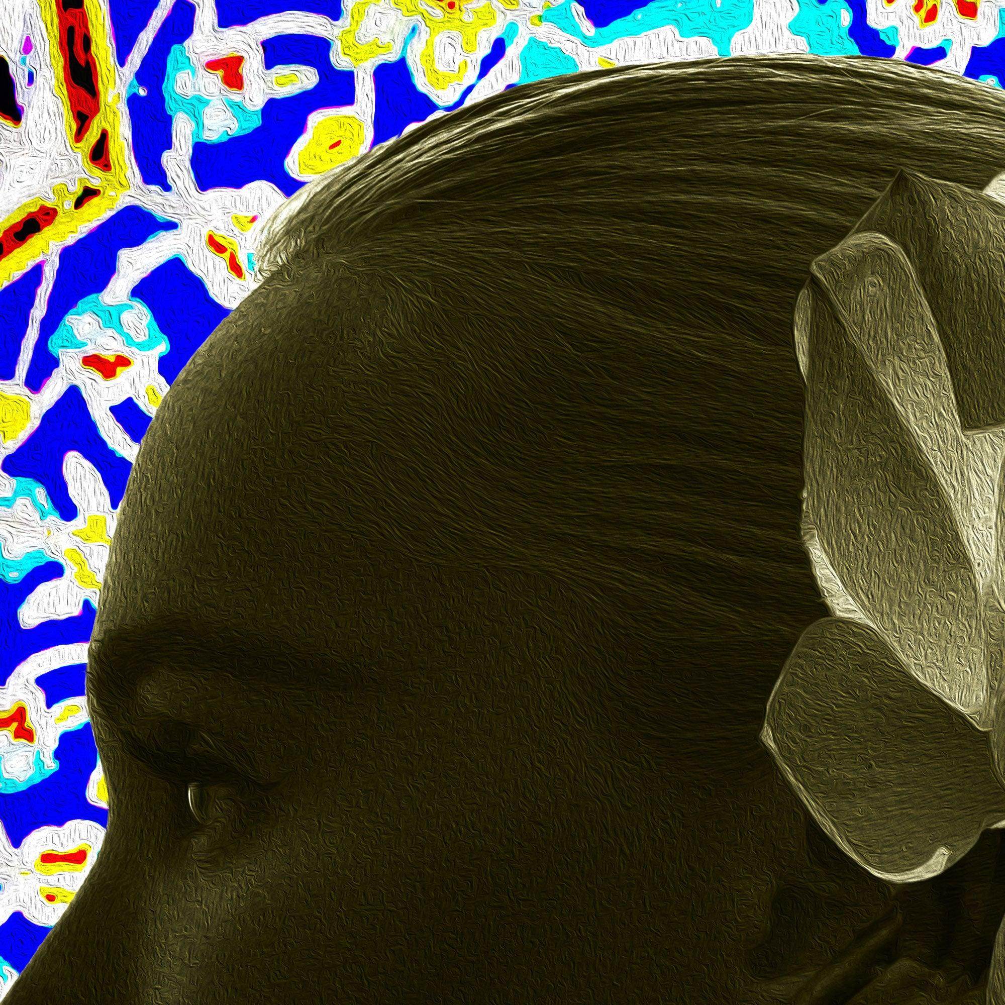 Spring Blossoms | Persian Wall Art | Persian Home Wall Decor - ORIAVI