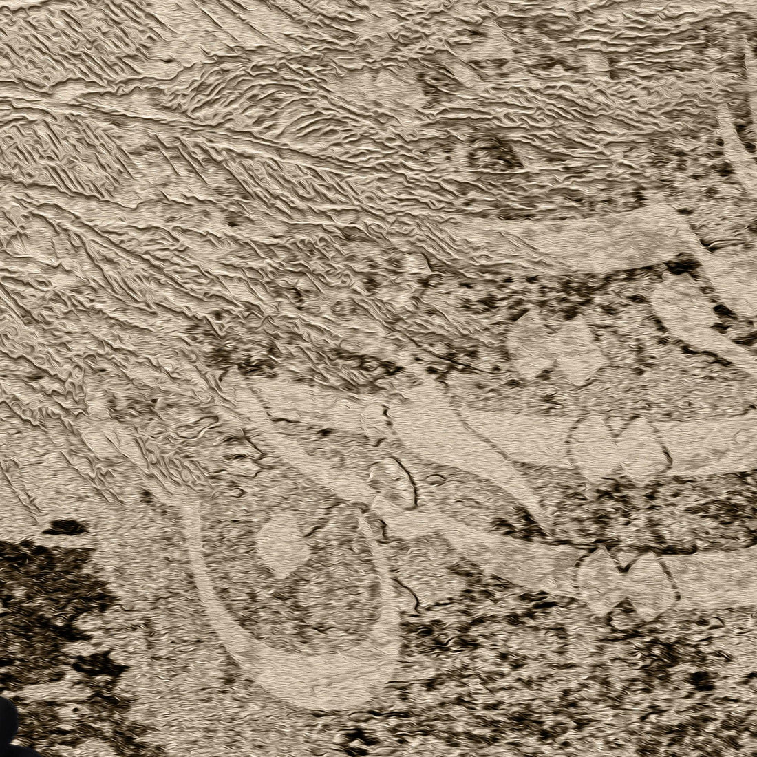 Custom Canvas (I won&